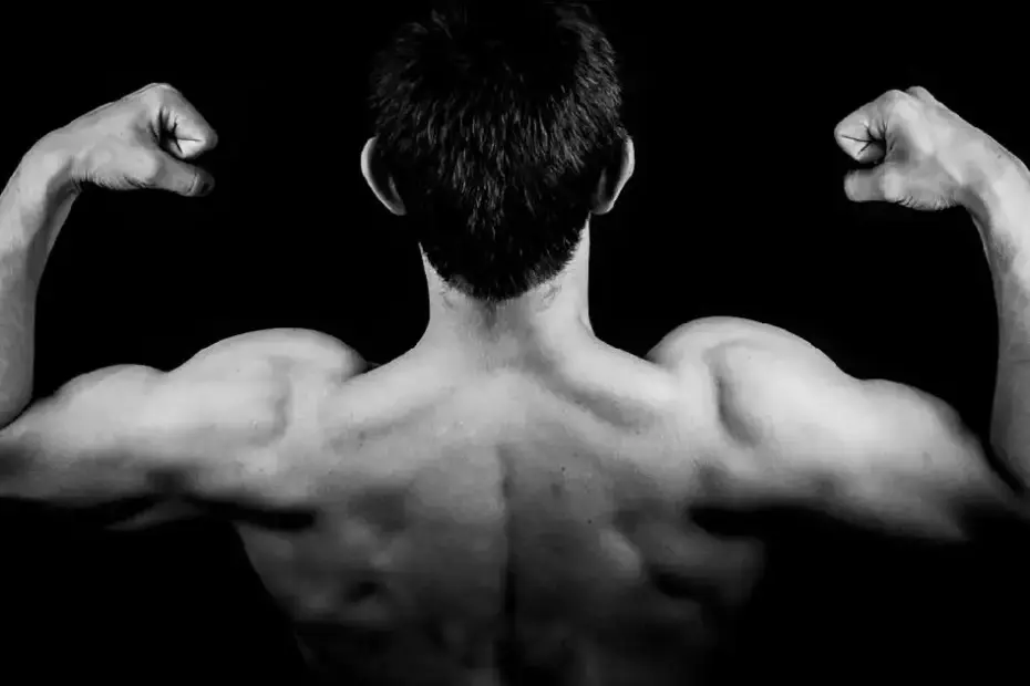 Biggerbiceps
